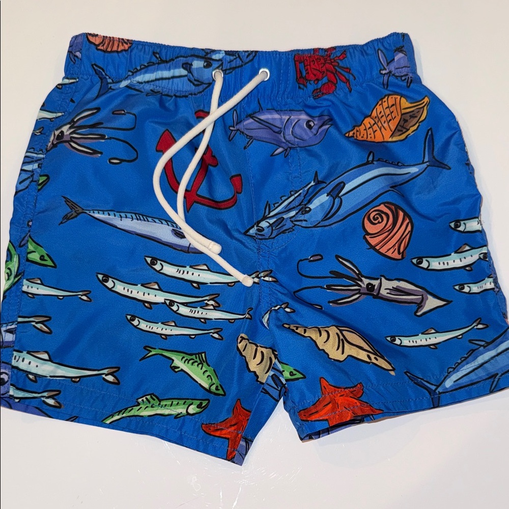 Dolce & Gabbana Blue Kids Swim Trunks